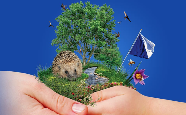 Natur-Initiative